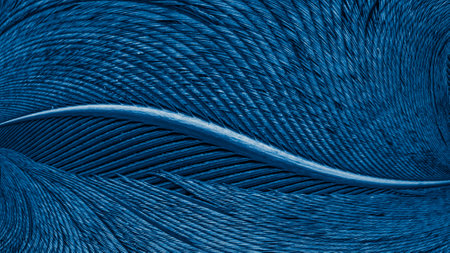 texture of a blue bird featherの写真素材