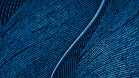 texture of a blue bird featherの写真素材