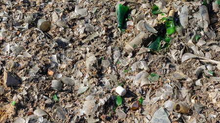 wild garbage dump. residual glass, plastics in the forestの写真素材