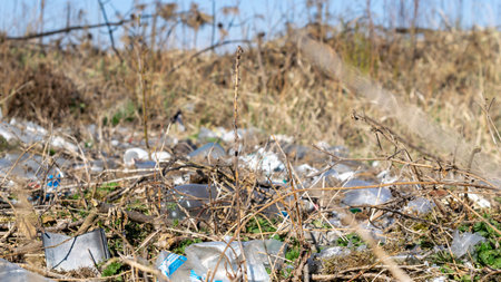 wild garbage dump. residual glass, plastics in the forestの写真素材
