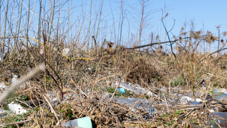 wild garbage dump. residual glass, plastics in the forest