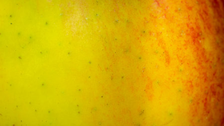 red and yellow apple skin with visible detailsの写真素材