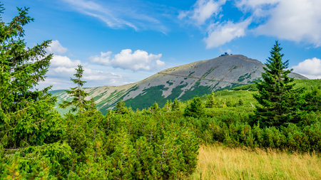 view of Mount Sniezka against the background of the forestの写真素材