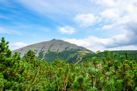 view of Mount Sniezka against the background of the forestの写真素材