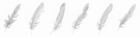 white goose feathers on a white backgroundの写真素材