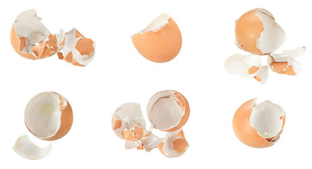 egg shells on white isolated backgroundの写真素材