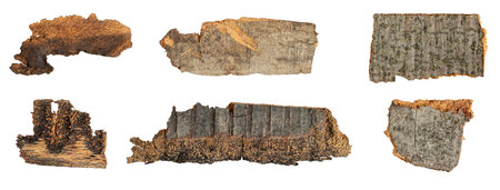 brown beech shoulder with visible detailsの写真素材