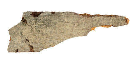 brown beech shoulder with visible detailsの写真素材