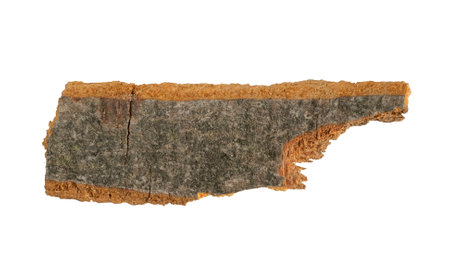 brown beech shoulder with visible detailsの写真素材