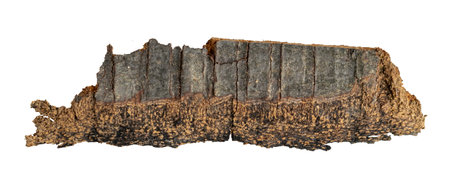 brown beech shoulder with visible detailsの写真素材