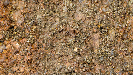 red sandstone cliffs macro photo .textura or background