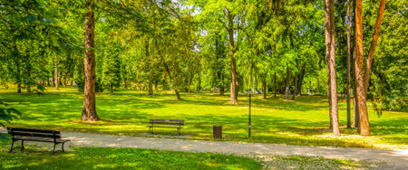 bench in a park on a beautiful sunny dayの写真素材