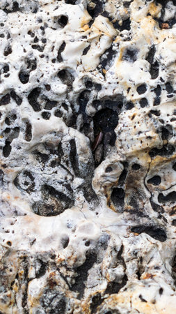 limestone texture usable as texture or background.
