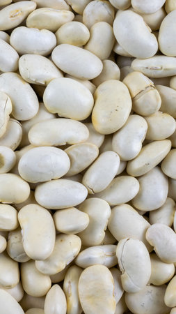 grains of white beans with visible details