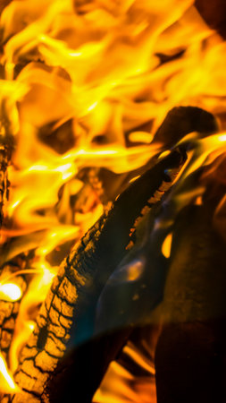 Fire flame. Burning wood.の写真素材