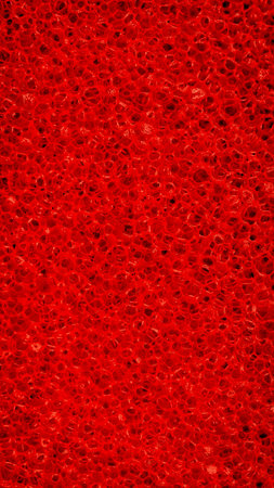 red sponge with visible details. background or texture