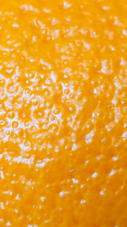 orange peel with visible details. background or textureの写真素材