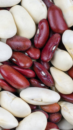 mixed white and red beans. background or texture\