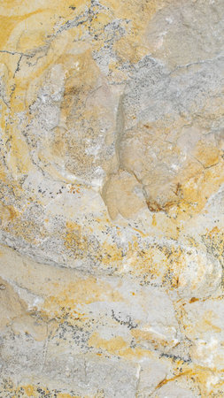 light limestone with interesting texture visible. backgroundの写真素材