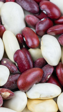 mixed white and red beans. background or texture\の写真素材