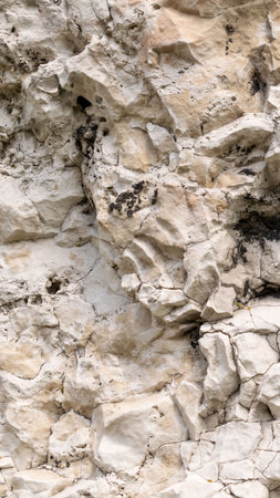 light limestone with interesting texture visible. backgroundの写真素材