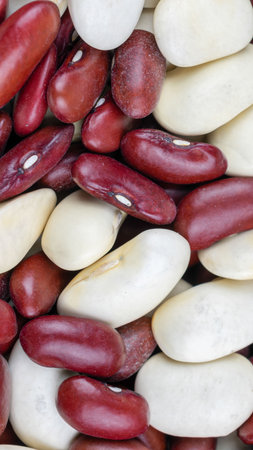 mixed white and red beans. background or texture\