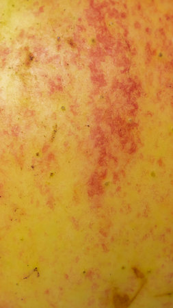 red and yellow apple skin with visible details