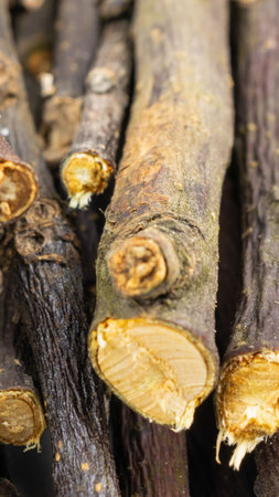 dried apple twigs with visible details. background or texture