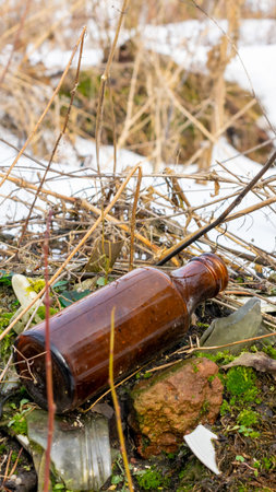 wild garbage dump. residual glass, plastics in the forestの写真素材