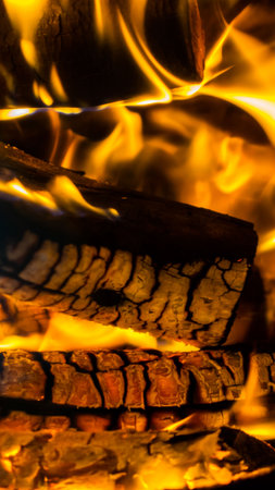 Fire flame of a tree.の写真素材