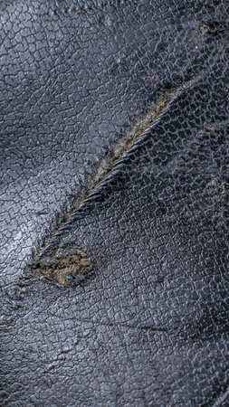 black natural leather with visible details. backgroundの写真素材