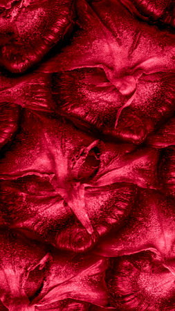 red pineapple peel with visible details.の写真素材