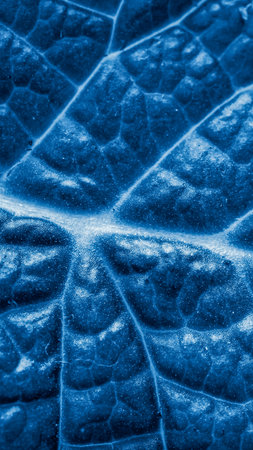 blue leaf with visible details. background or textureの写真素材