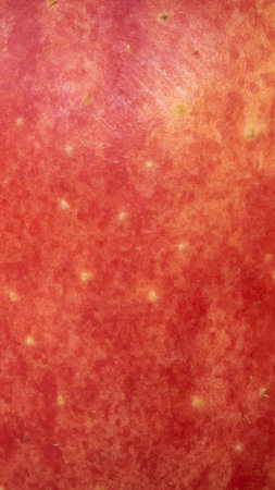 red and yellow apple skin with visible details