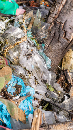 wild garbage dump. residual glass, plastics in the forest