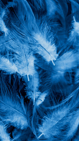 macro photo of blue hen feathers. background or textureの写真素材