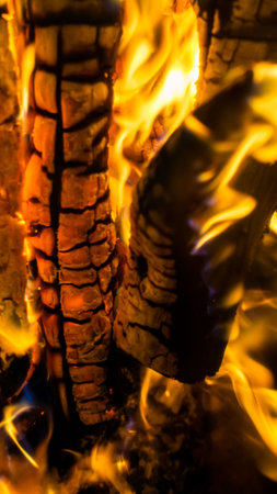 Fire flame of a tree.の写真素材