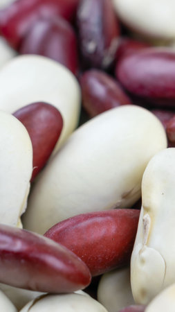 mixed white and red beans. background or texture\の写真素材
