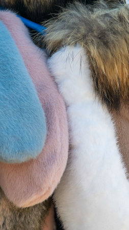 colorful woolen gloves on displayの写真素材