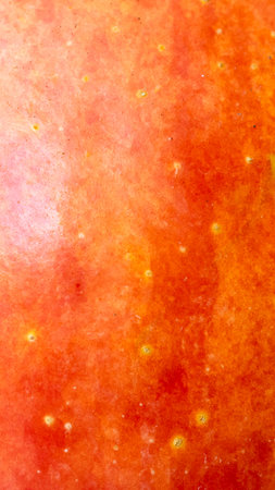 red and yellow apple skin with visible detailsの写真素材