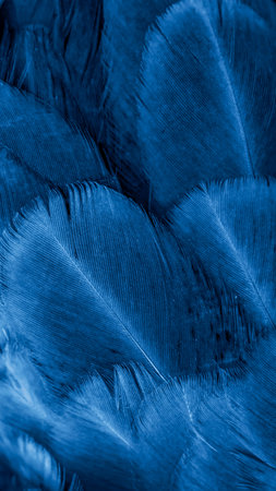 macro photo of violet hen feathers. background or textureの写真素材