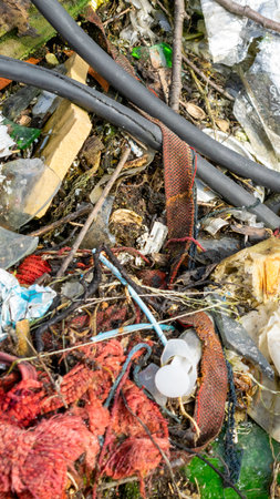 wild garbage dump. residual glass, plastics in the forestの写真素材