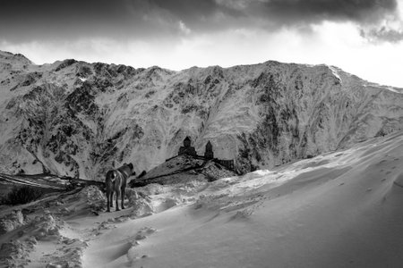 Mountains landscapeの写真素材