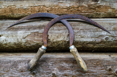 Old sickles which hang on a wooden wallの写真素材