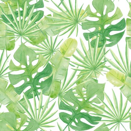 Watercolor seamless pattern tropical leaves of Banana, Monstera, Palm. Trendy illustration Isolated on white background. Hand drawn. Design for kitchen, textile fabrics, invitations, cards, wall art.の写真素材
