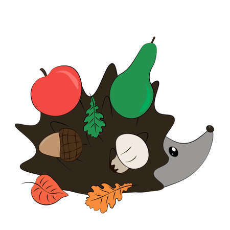 Hedgehog Cute Vector illustration of a cartoon hedgehog with apple, acorn, pear, leaves and mushroom Education and child reading skills development Art for children Forest dweller on white background.のイラスト素材