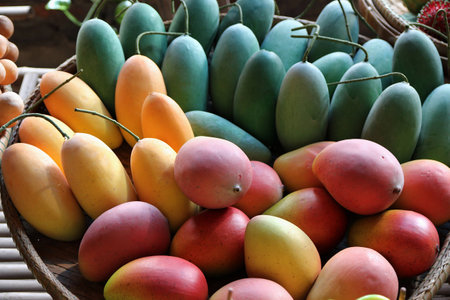 color of fruitsの写真素材