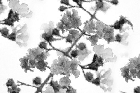 art of painting flower on white backgroundの写真素材