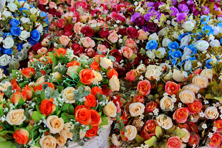 roses