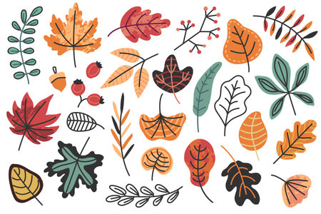 Autumn red, orange, yellow and brown leaves, berries and acorn. Fall season flat doodle forest oak, rowan, maple and chestnut leaf. Fallen leaves vector setのイラスト素材